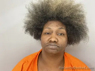 Mugshot of SHANTEL ALLEN