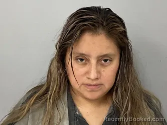 Mugshot of Yolana Orozco-Mendez booked in Wagoner County, Oklahoma on October 16, 2026