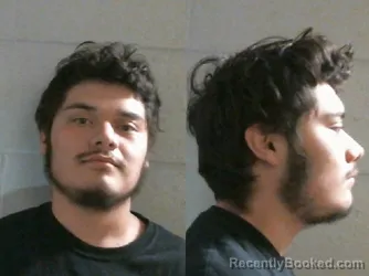 Mugshot of ANTHONY RIVAS