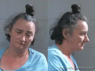 Mugshot of LORIANN JENKINS JENKINS