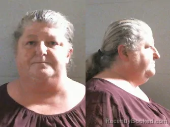 Mugshot of JULIE ANN GAY