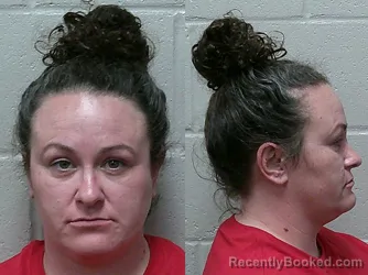 Mugshot of BRITTANIE BREANN CALLSHIM