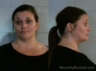 Mugshot of WHITNEY BROOKE TOWNLEY