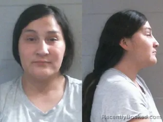 Mugshot of MONIQUE MARIE SALAZAR