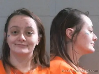 Mugshot of SABRE DAWN LEWIS