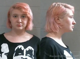 Mugshot of DESTINY ELAINE ANDERSON