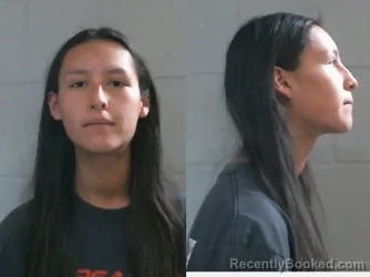 Mugshot of BRIANNA MELYNN HIGHT booked in Washington County, Oklahoma on March 20, 2026