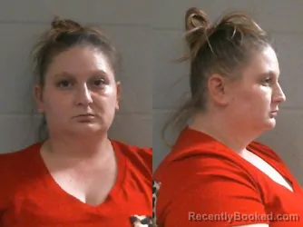 Mugshot of HOLLY LEANN HARRIS booked in Washington County, Oklahoma on March 24, 2026