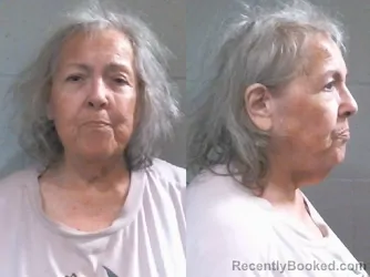 Mugshot of JANICE LEE STEVENSON booked in Washington County, Oklahoma on March 31, 2026