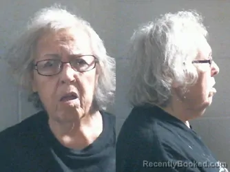Mugshot of JANICE LEE STEVENSON booked in Washington County, Oklahoma on May 25, 2026