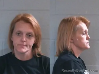 Mugshot of THERESA MARIE CRYER booked in Washington County, Oklahoma on June 12, 2026