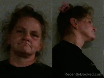 Mugshot of ANGEL LYNN CROSS booked in Washington County, Oklahoma on June 27, 2026
