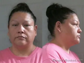 Mugshot of LANA LOOKOUT booked in Washington County, Oklahoma on July 8, 2026