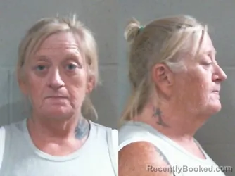 Mugshot of JANICE VAN DYCK booked in Washington County, Oklahoma on July 10, 2026
