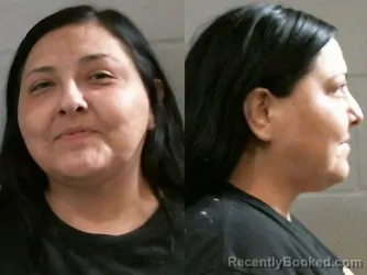 Mugshot of SHONDENE NIZHONE BROWN booked in Washington County, Oklahoma on July 30, 2026