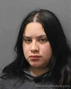 Mugshot of BIRIDIANA MARTINEZ