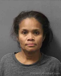 Booking photo from Cooke County, Texas