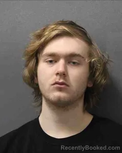 Mugshot of NICOLACE GAGE CHESTER