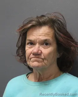 Mugshot of HOLLY JANETTE ROBERSON