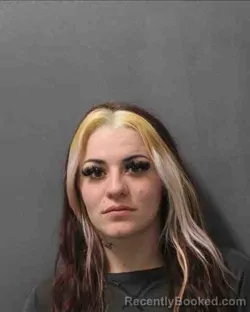 Mugshot of BREANA MONIQUE LLAMAS