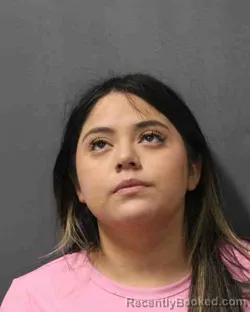 Booking photo from Cooke County, Texas