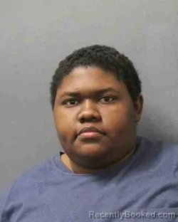 Mugshot of SIERRA MONET DEDNER
