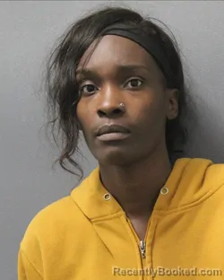 Mugshot of ANDREA LESHUNDRA YOUNG