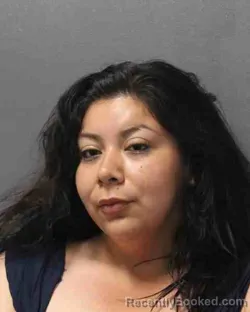 Mugshot of VICTORIA ROSE HUICHAPA