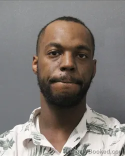 Mugshot of JAMES EARL NEWMAN