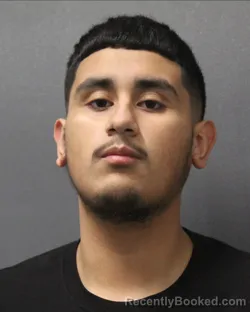 Mugshot of ANGEL ADAN PICON-SAENZ