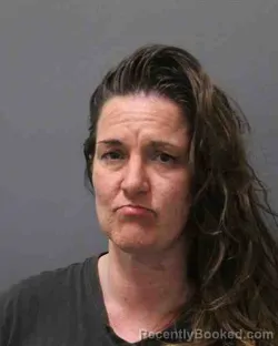 Mugshot of KRYSTLE ANN LONG