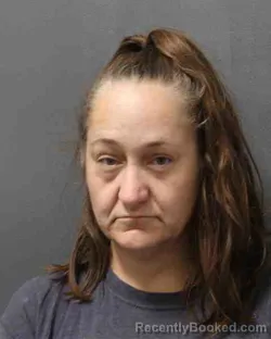 Mugshot of TERI LEN SOLDAVINI