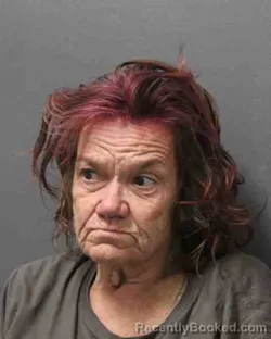 Mugshot of HOLLY JANETTE ROBERSON