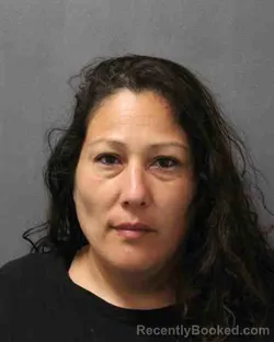 Mugshot of SYLVIA COLMENERO