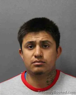 Mugshot of OLVIN JESUS BUENROSTRO-QUINTERO