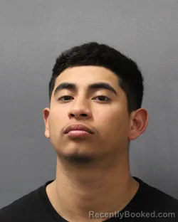 Mugshot of CHRISTOPHER MARTIN CARRILLO
