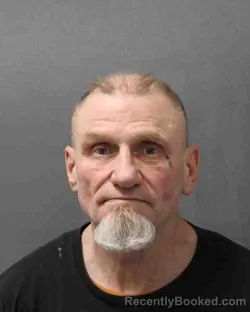 Mugshot of DAVID STILES TIMMS