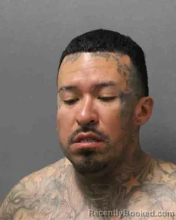 Mugshot of RODNEY JR CRUZ