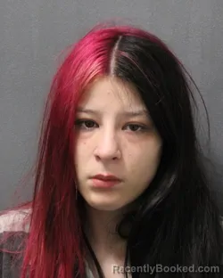 Mugshot of NATALIE FAE VALDEZ booked in Cooke County, Texas on March 30, 2026