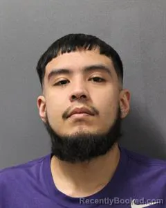 Mugshot of JOSE VICENTE GALAN-DEHUMA booked in Cooke County, Texas on April 23, 2026