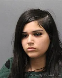 Mugshot of MAKELA NICOLE LEWIS booked in Cooke County, Texas on April 24, 2026