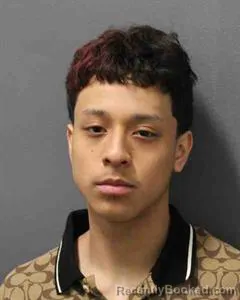 Mugshot of GERARDO MEDINA booked in Cooke County, Texas on April 24, 2026