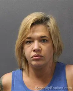 Mugshot of MICHELLE MARIE HARBAUGH booked in Cooke County, Texas on May 2, 2026