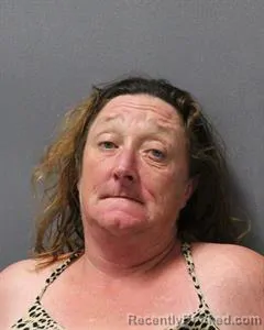 Mugshot of CARRIE ANN DOBBERTHIEN booked in Cooke County, Texas on May 4, 2026
