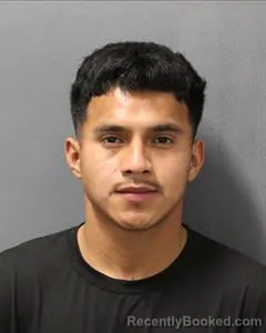 Mugshot of ELVIS ISABEL HERNANDEZ BANEGAS booked in Cooke County, Texas on May 15, 2026