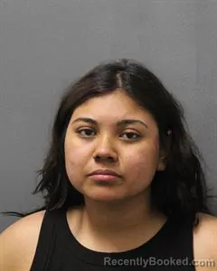 Mugshot of MARIANA SOLEDAD HERNANDEZ booked in Cooke County, Texas on June 7, 2026