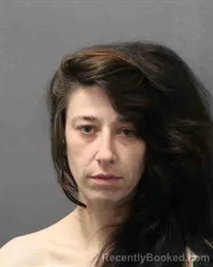Mugshot of JOY ELISE WILKINSON booked in Cooke County, Texas on June 17, 2026