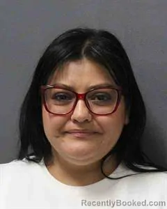 Mugshot of JANIE GUTIERREZ RILEY booked in Cooke County, Texas on June 17, 2026