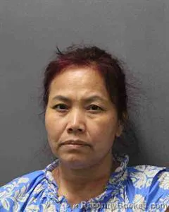 Mugshot of DAVINA JOY CHANTHALANGSY booked in Cooke County, Texas on June 17, 2026
