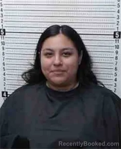 Mugshot of VERONICA ELIZABETH RODRIGUEZ booked in Cooke County, Texas on June 25, 2026
